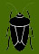 insects