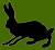 jackrabbit