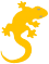 lizard