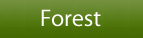 Forest Animals