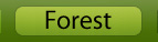 Forest Animals