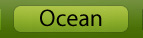 Ocean Animals