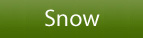 Snow Animals