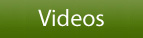 Animals Videos