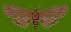 moth