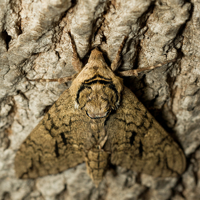Can you see me?