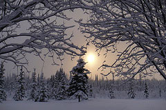 snow
